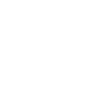 Lantern Award of Excellence 2017